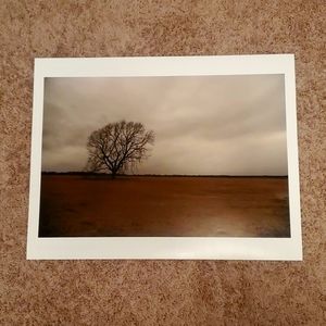 13" X 19" Beautiful picture taken in Texas 📸